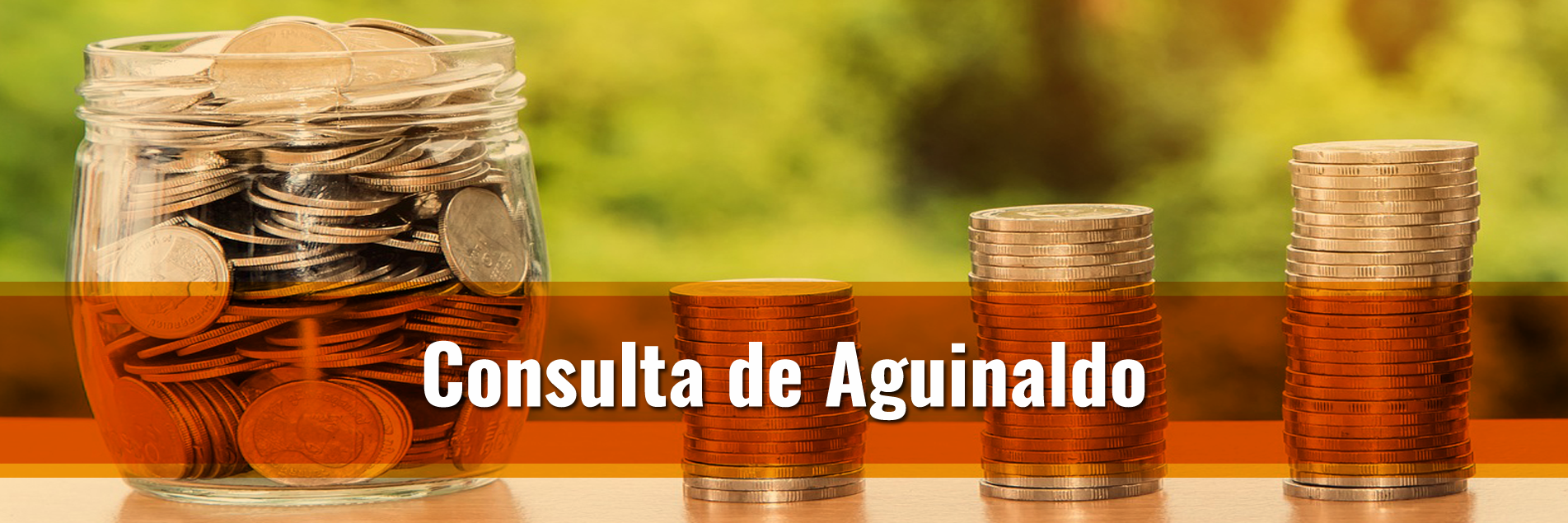 Consulta De Aguinaldo Del FJP